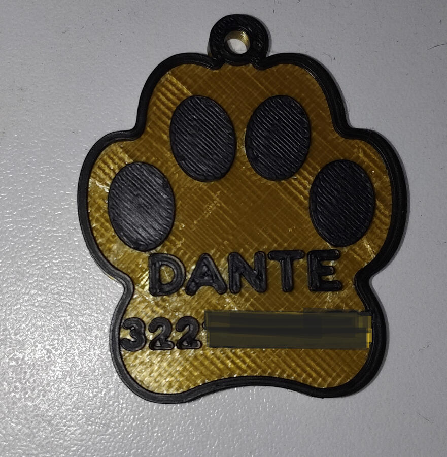 Placa personalizada con nombre de mascota y datos de dueño y QR al reverso