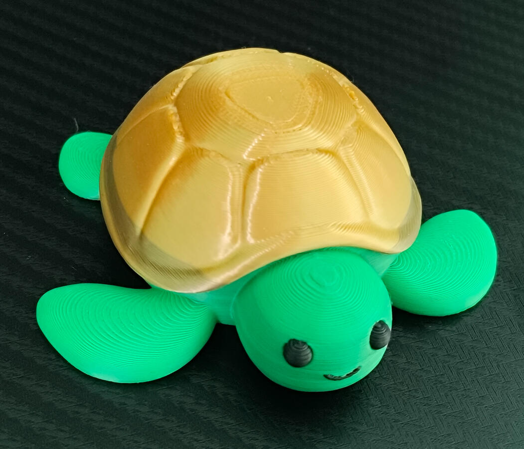 Tortuga personalizada